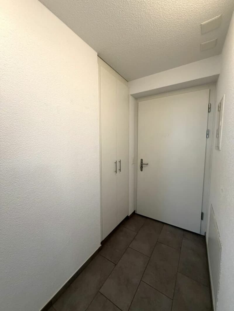 Tavannes, magnifique appartement de 3.5 pièces au rez avec terrasse (13)