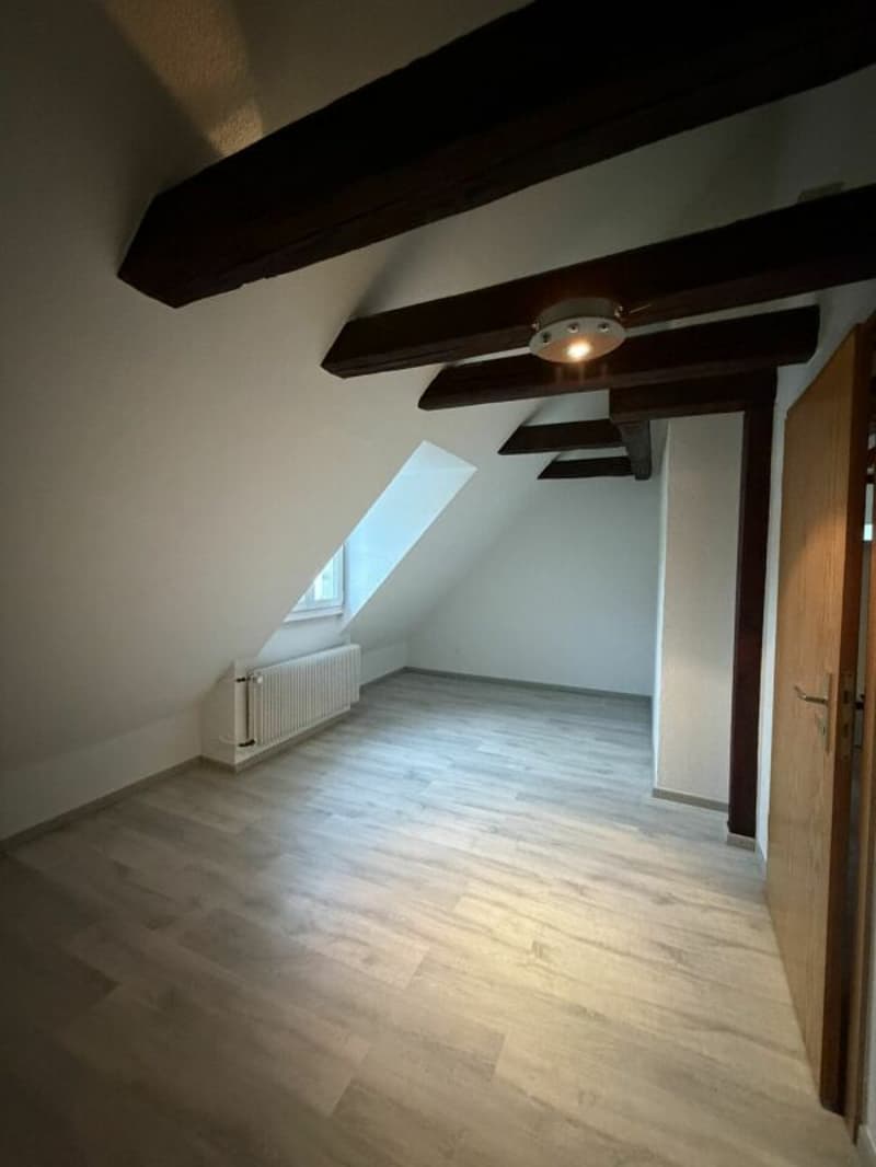Le Locle, bel appartement renové de 2.5 pièces (5)