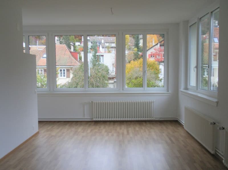 St-Imier, magnifique loft avec vue imprenable (3)