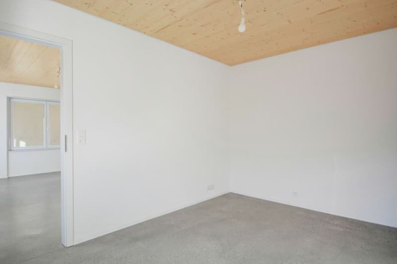 Corgémont, magnifique appartement de 3.5 pièces NEUF (7)