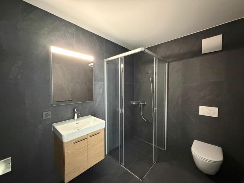 Villeret, magnifique appartement de 3.5 pièces au 1er avec terrasse et ascenseur (11)
