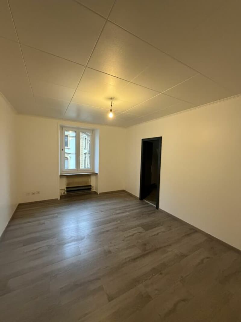 Chaux-de-Fonds, joli appartement rénové de 1.5 pièce (3)