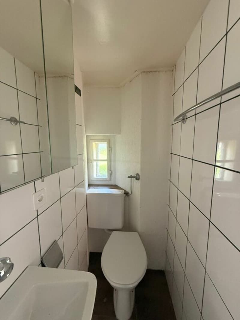 Sonvilier, magnifique appartement de 2.5 pièces au rez avec balcon (6)