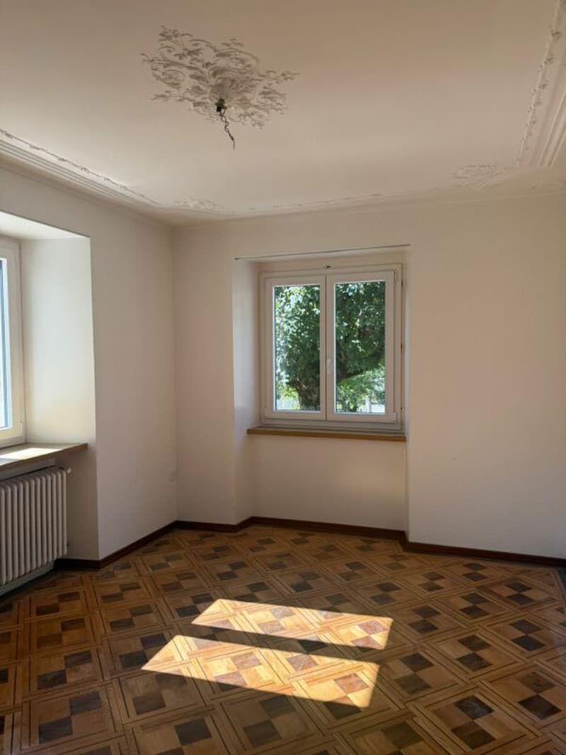 Sonvilier, magnifique appartement de 2.5 pièces au rez avec balcon (4)