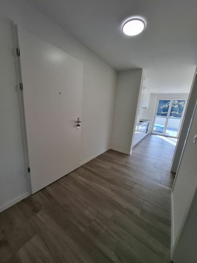 2.5 Zi-Attika Wohnung in einem NEUBAU mit grosser Terrasse 52 m², Zweitvermietung (10)