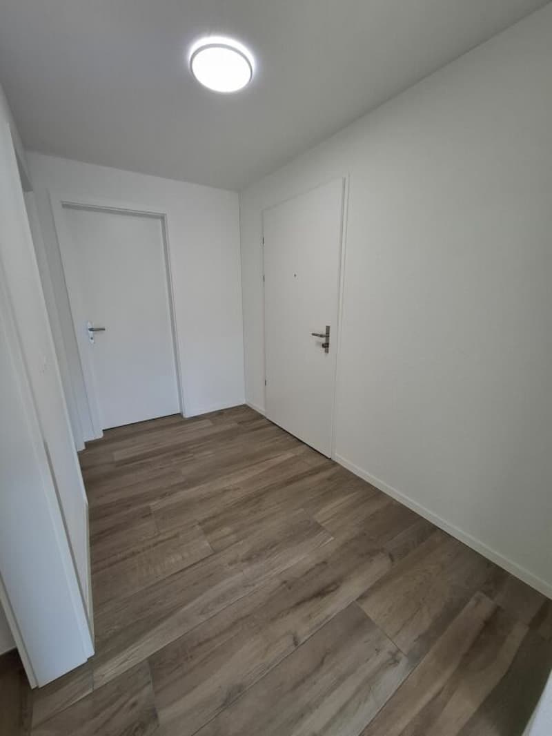 2.5 Zi-Attika Wohnung in einem NEUBAU mit grosser Terrasse 52 m², Zweitvermietung (8)