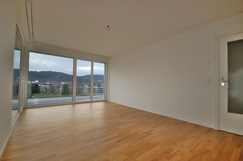 Grosszügige 5.5-Zimmer-Maisonette-Terrassenwohnung (10)