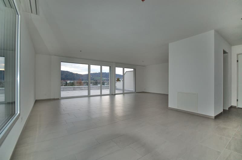 Grosszügige 5.5-Zimmer-Maisonette-Terrassenwohnung (4)