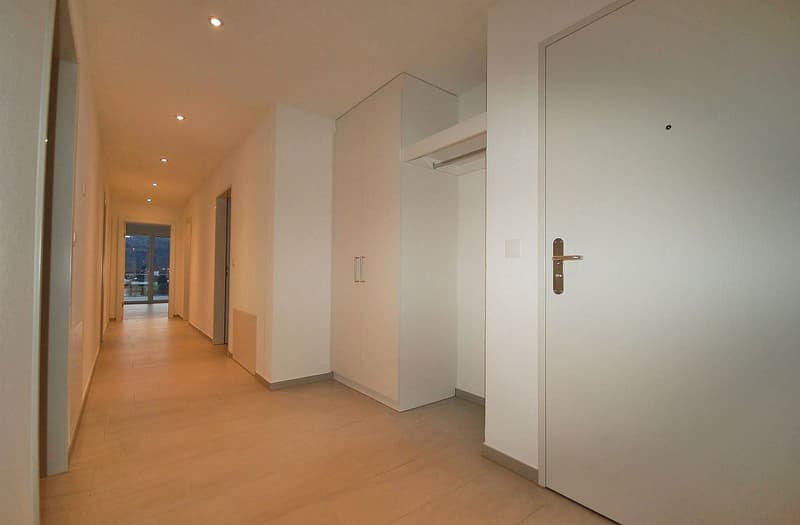 Grosszügige 5.5-Zimmer-Maisonette-Terrassenwohnung (17)