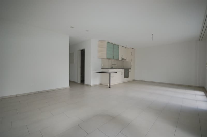Moderne 1.0-Zimmer-Loft-Wohnung mit Sitzplatz (1)