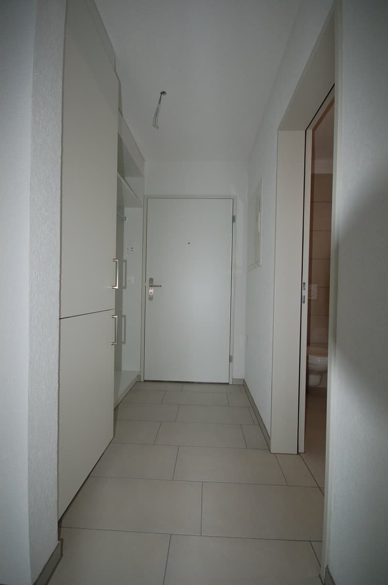 Moderne 1.0-Zimmer-Loft-Wohnung mit Sitzplatz (5)