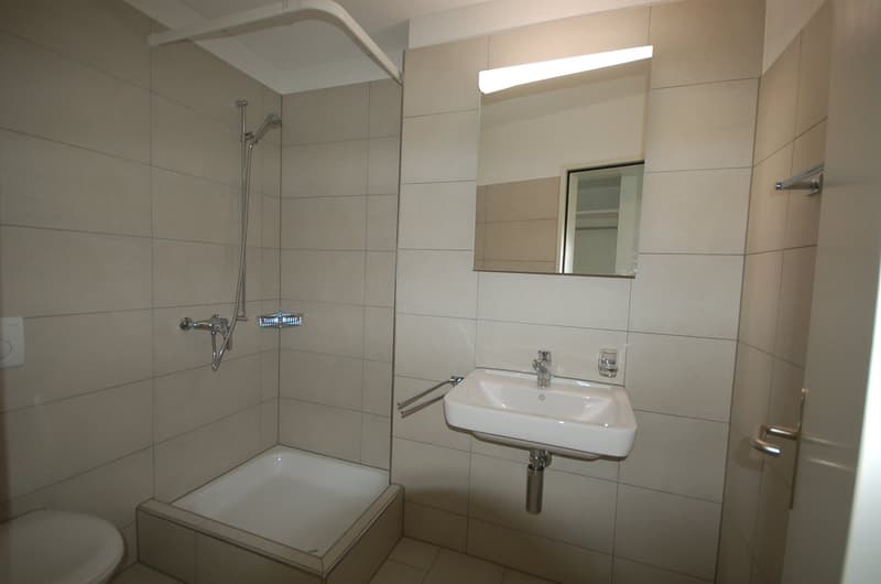 Moderne 1.0-Zimmer-Loft-Wohnung mit Sitzplatz (4)