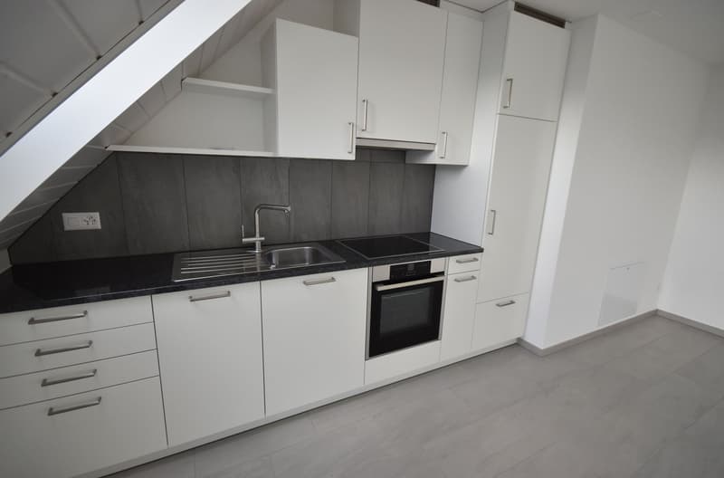 Moderne 2,5-Zimmer-Dachwohnung mit Weitblick (3)