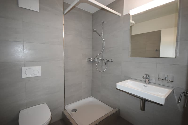 Moderne 2,5-Zimmer-Dachwohnung mit Weitblick (4)