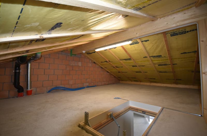 Moderne 2,5-Zimmer-Dachwohnung mit Weitblick (7)