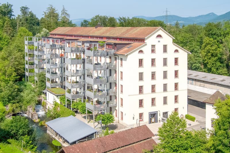 Exklusive 4.5-Zimmer-Dach-Loft auf 2 Etagen – Trendiges Wohnen mit Stil (1)