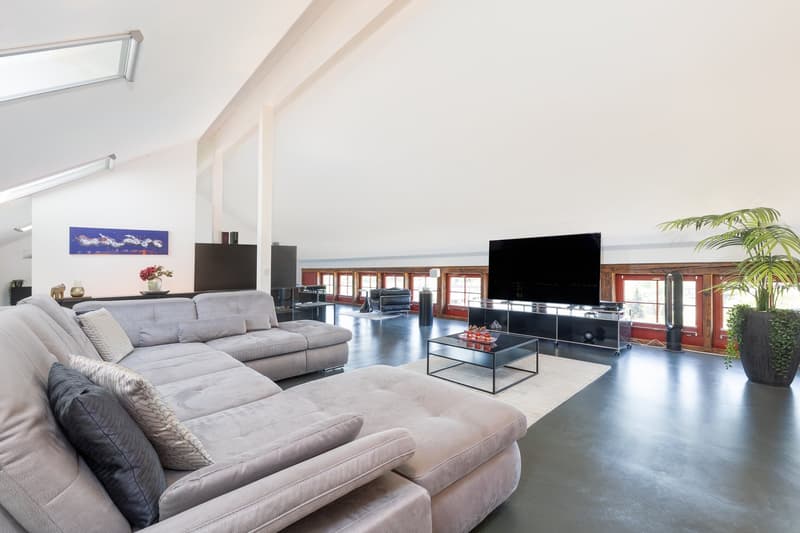 Exklusive 4.5-Zimmer-Dach-Loft auf 2 Etagen – Trendiges Wohnen mit Stil (14)