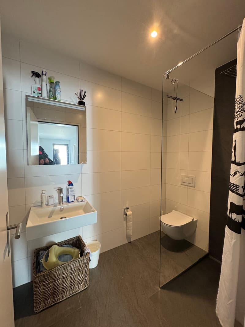 5.5-Z-WHG NWFL 162 m2 mit Gartensitzpl. /Keller/Weinkeller/Technik  ca 60 m2  - in 2-Familienhaus (19)