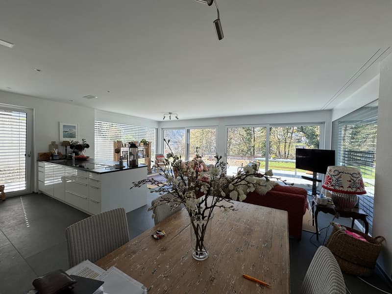 5.5-Z-WHG NWFL 162 m2 mit Gartensitzpl. /Keller/Weinkeller/Technik  ca 60 m2  - in 2-Familienhaus (12)