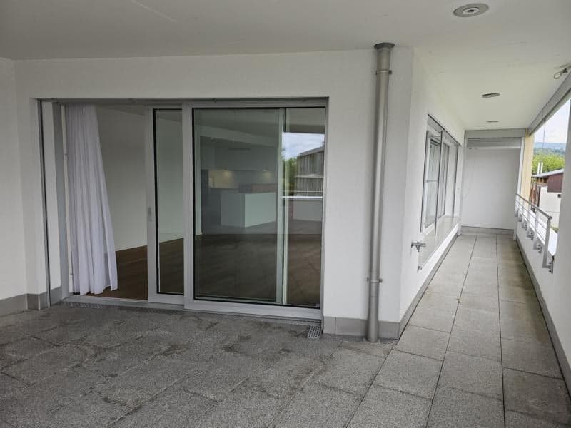 Lichtdurchflutete 4.5-Zimmer-Minergie-P-Wohnung in Dornach (17)