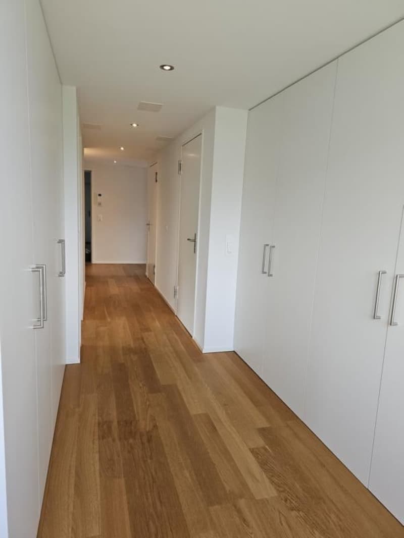 Lichtdurchflutete 4.5-Zimmer-Minergie-P-Wohnung in Dornach (13)