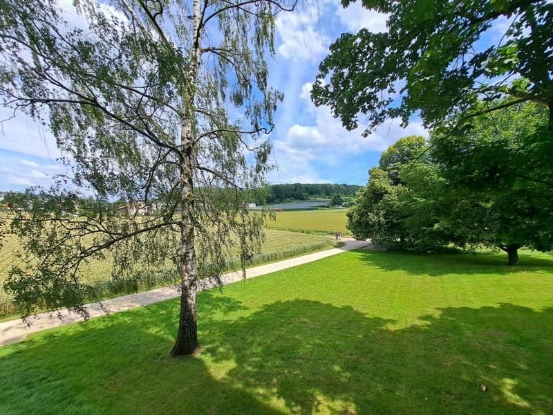 Charmante 4.5-Zimmer-Wohnung mit Balkon und schöner Aussicht in Therwil (10)