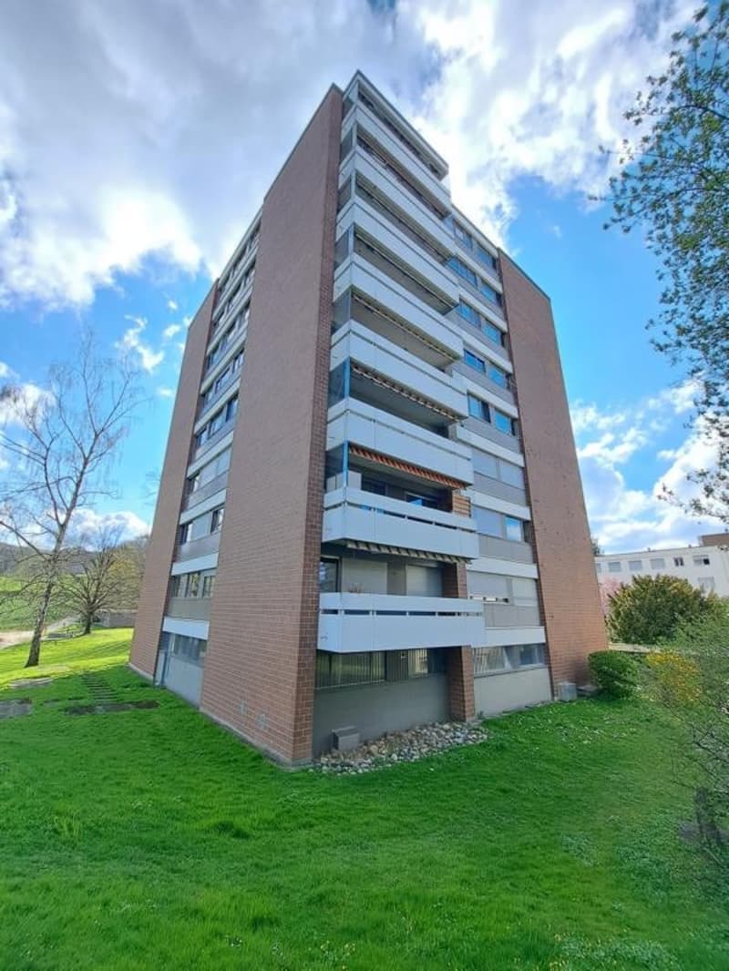 Charmante 4.5-Zimmer-Wohnung mit Balkon und schöner Aussicht in Therwil (13)
