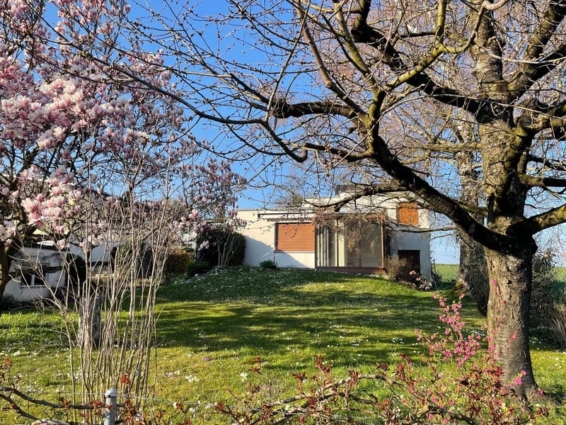 Freistehendes 5-Zimmer- EFH mit Wintergarten, Garten mit schönem Baumbestand in Witterswil – (2)