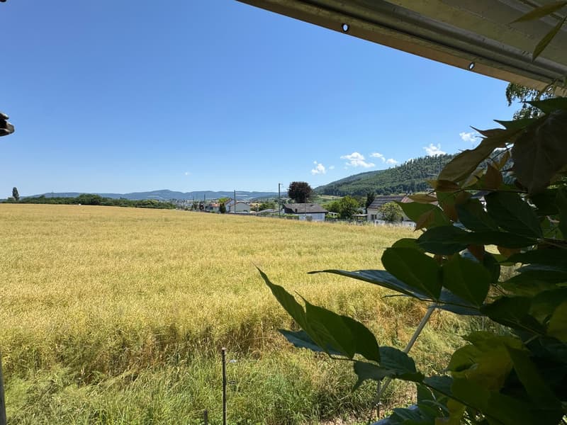 Freistehendes 5-Zimmer- EFH mit Wintergarten, Garten mit schönem Baumbestand in Witterswil – (6)