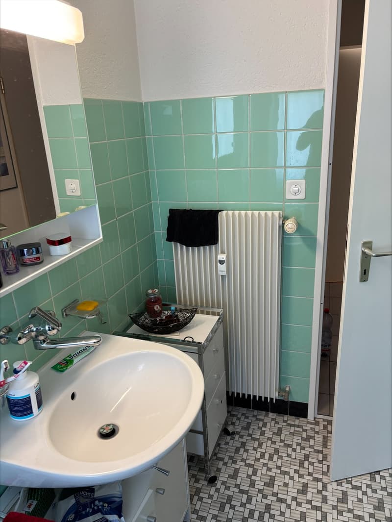 gepflegte 3-Zimmerwohnung im schönen Ettingen (9)