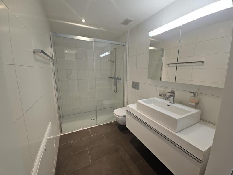 Lichtdurchflutete 4.5-Zimmer-Minergie-P-Wohnung in Dornach (11)