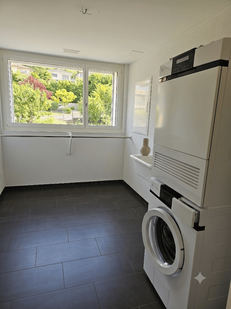 Lichtdurchflutete 4.5-Zimmer-Minergie-P-Wohnung in Dornach (13)