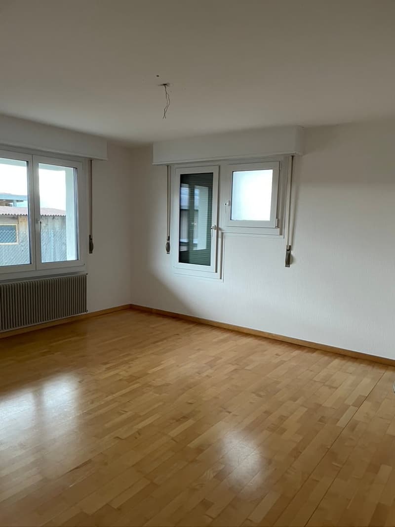 Zimmer UG