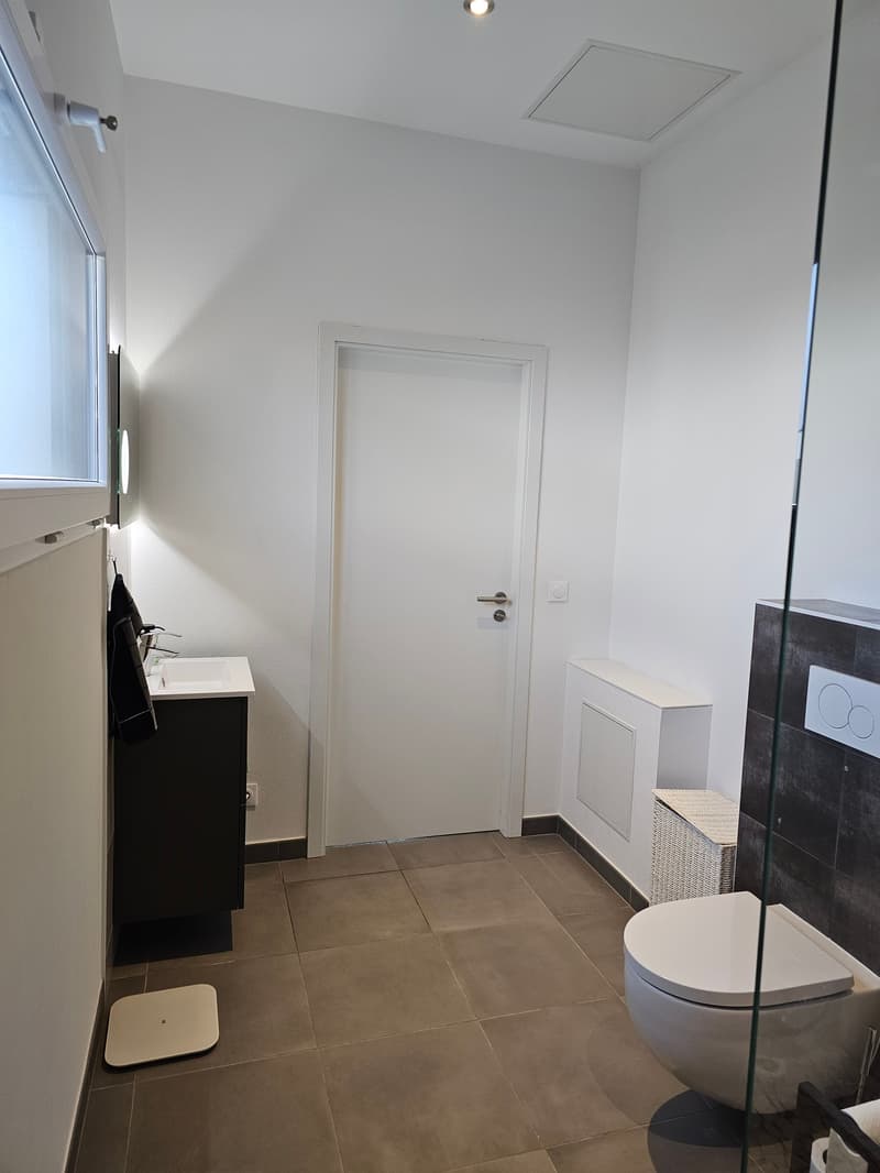 Modernes 6-Zimmer-Einfamilienhaus mit Pool in ruhiger Lage von Leymen (18)