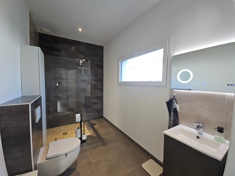 Modernes 6-Zimmer-Einfamilienhaus mit Pool in ruhiger Lage von Leymen (16)