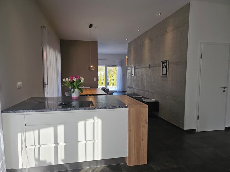 Modernes 6-Zimmer-Einfamilienhaus mit Pool in ruhiger Lage von Leymen (24)