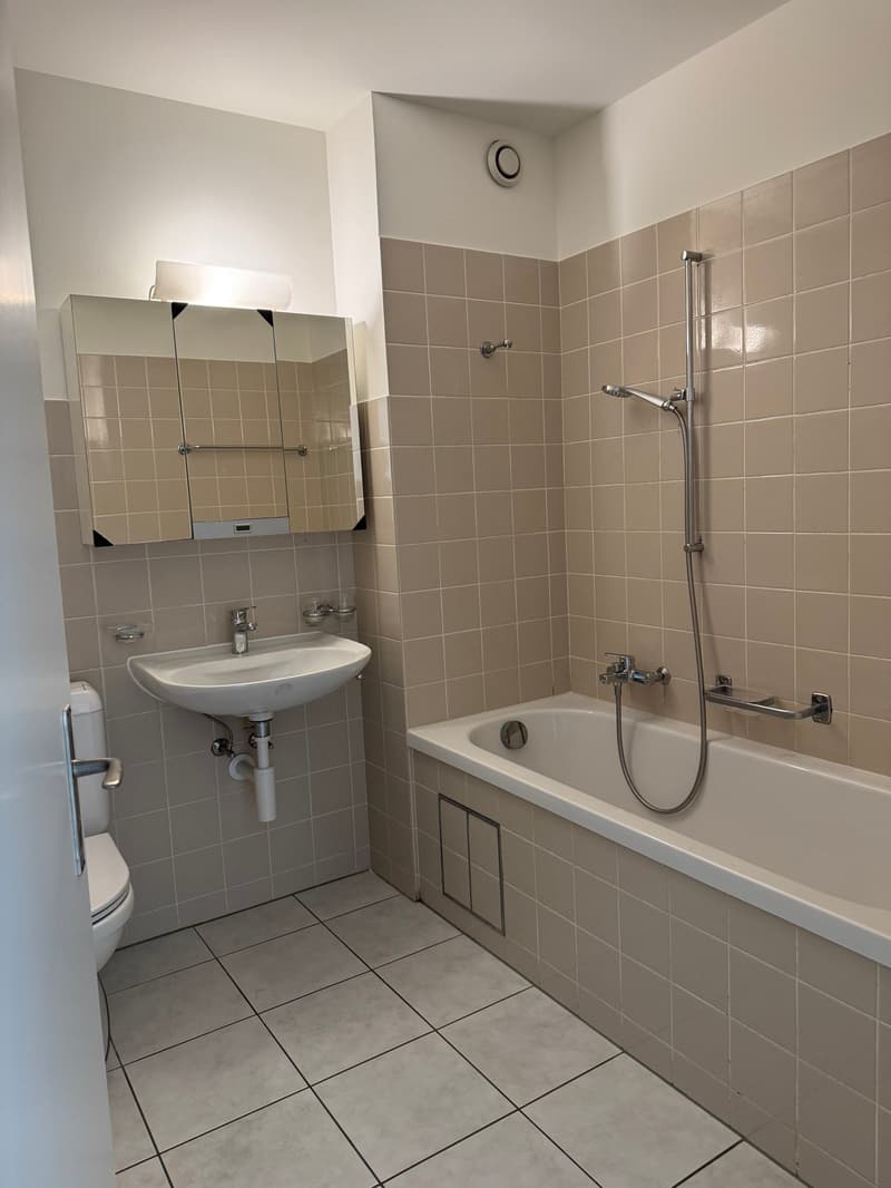 Charmante 3-Zimmer-Wohnung mit Balkon in Witterswil (12)