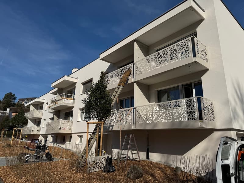 Frisch sanierte 2-Zimmer-Wohnung an ruhiger Lage in Reinach mit Balkon (1)