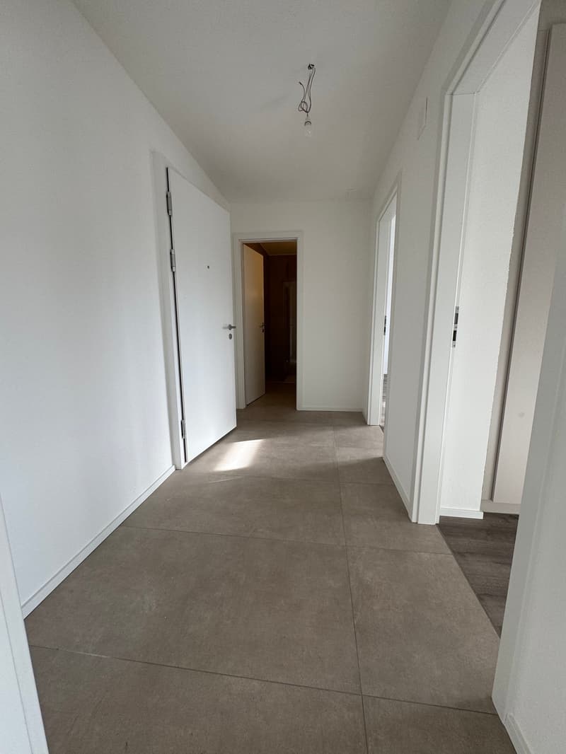 Frisch sanierte 2-Zimmer-Wohnung an ruhiger Lage in Reinach mit Balkon (2)
