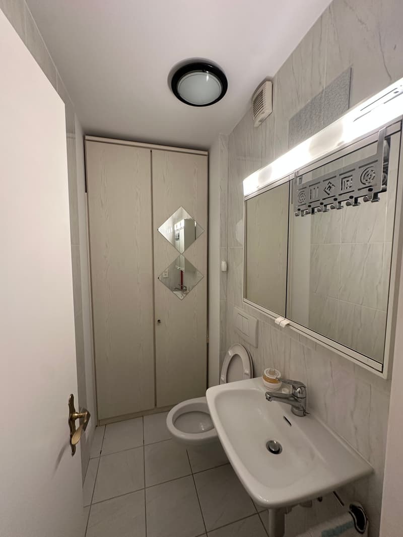 Helle 4.5-Zimmer-Wohnung mit Balkon an ruhiger Lage in Therwil (9)