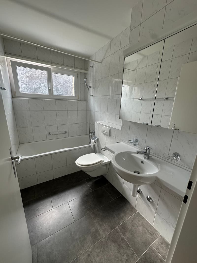 Sonnige 4.5 Zimmer-Wohnung mit Balkon (6)