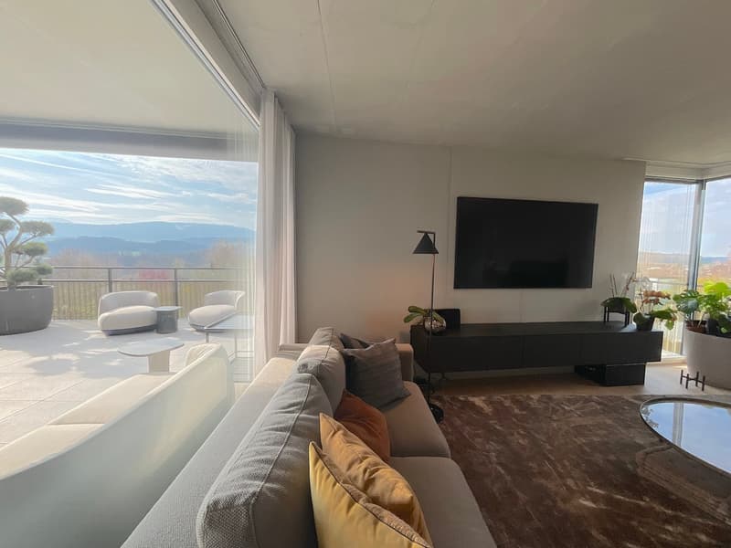 Attique  au coeur de Villars-sur-Glâne (2)