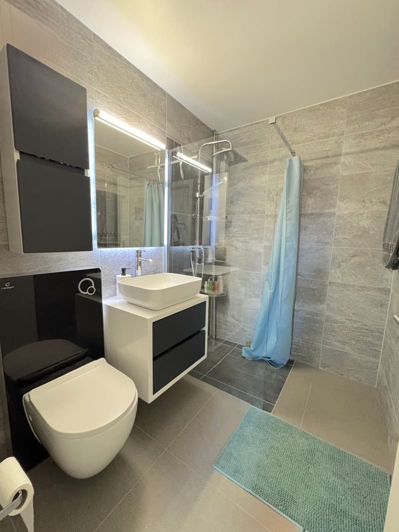 Appartement 4.5 pièces avec grand jardin privatisé de 576m2 (8)