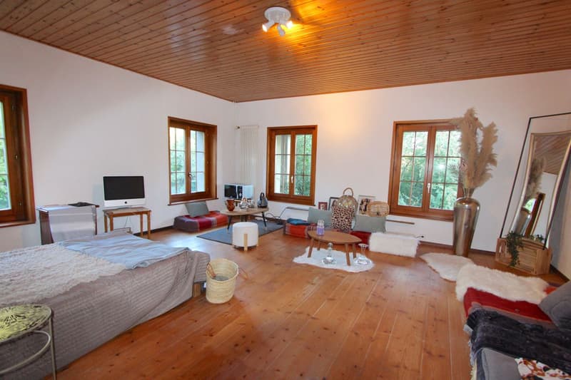 Appartement à vendre : Une oasis au coeur de la campagne fribourgeoise (8)