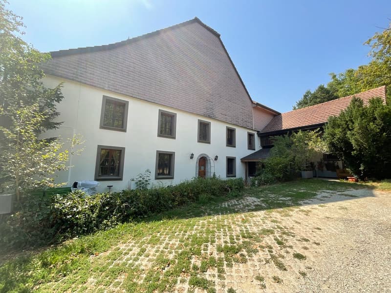 Appartement à vendre : Une oasis au coeur de la campagne fribourgeoise (3)