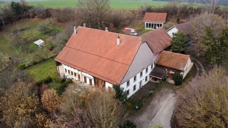 Appartement à vendre : Une oasis au coeur de la campagne fribourgeoise (2)