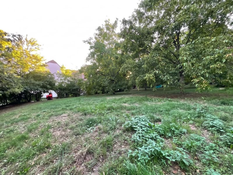 Appartement à vendre : Une oasis au coeur de la campagne fribourgeoise (10)
