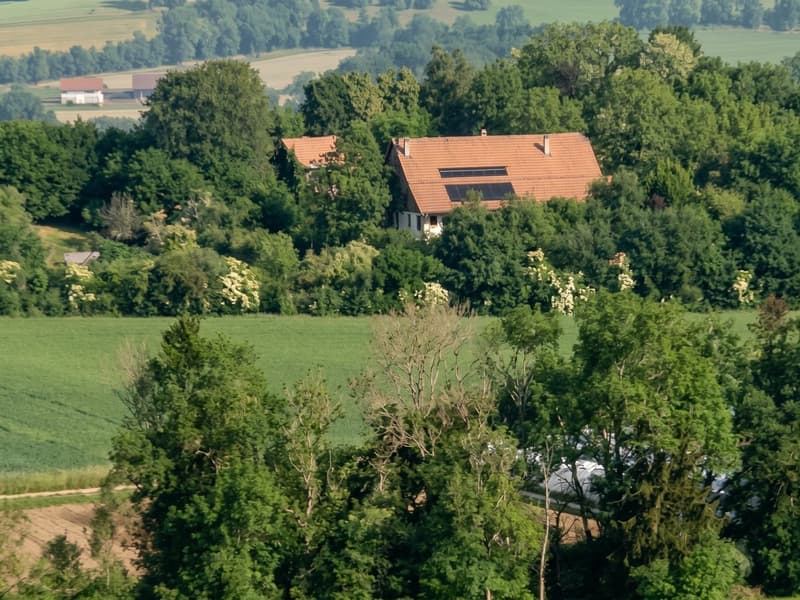Appartement à vendre avec 2126m2 terrain privé : Une oasis au coeur de la campagne fribourgeoise (13)