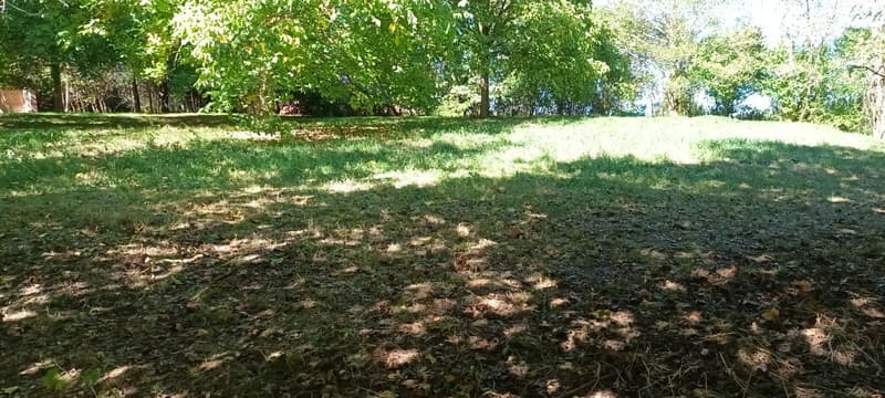 Appartement à vendre avec 2126m2 terrain privé : Une oasis au coeur de la campagne fribourgeoise (9)