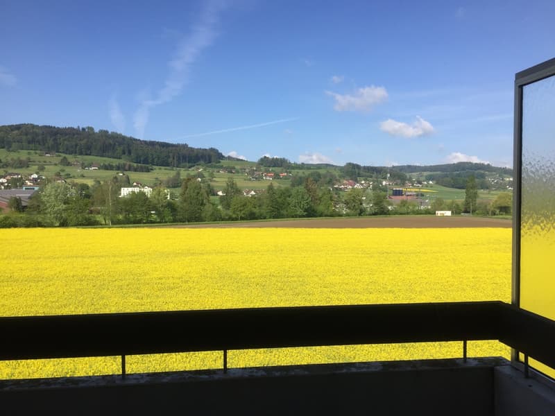 Geräumige 6.5-Zimmer-Wohnung mit herrlichem Ausblick in Reinach AG (5)